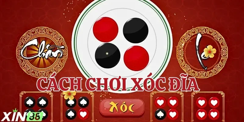 Tìm hiểu cách chơi xóc đĩa để bắt đầu trò chơi